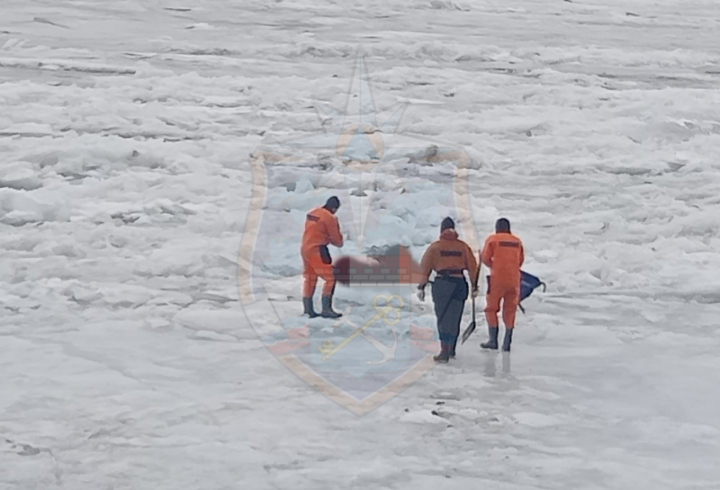 Бездыханное тело нашли на льду Невы под Всеволожском