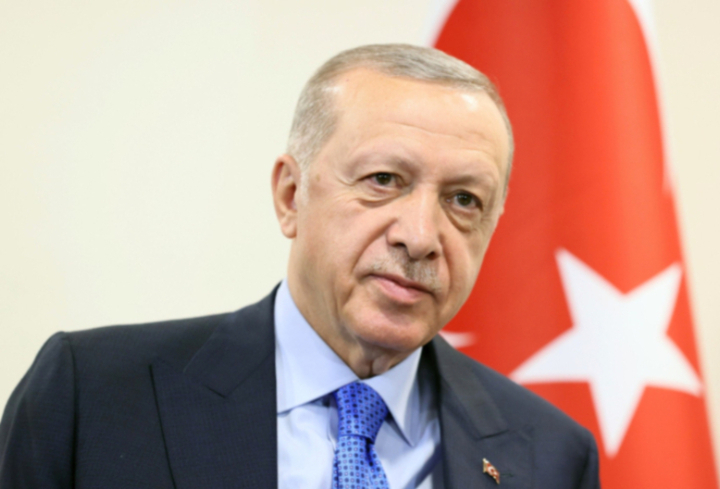 Эрдоган допустил, что Турция примет 