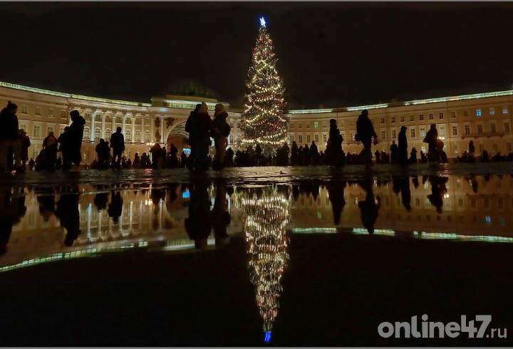Дворцовую площадь в Петербурге закрыли для повозок с лошадьми после ЧП на новогодних праздниках