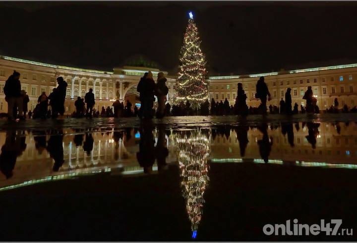 Запрет на допуск карет с лошадьми на Дворцовую площадь в Петербурге объяснили уголовным делом