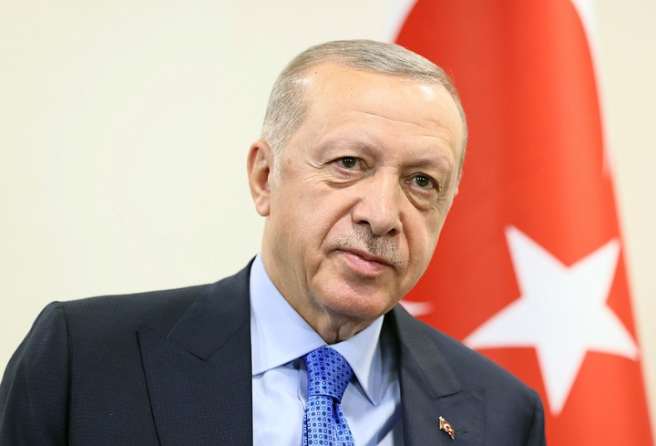 Эрдоган заявил о намерении провести переговоры с Путиным в ближайшие дни