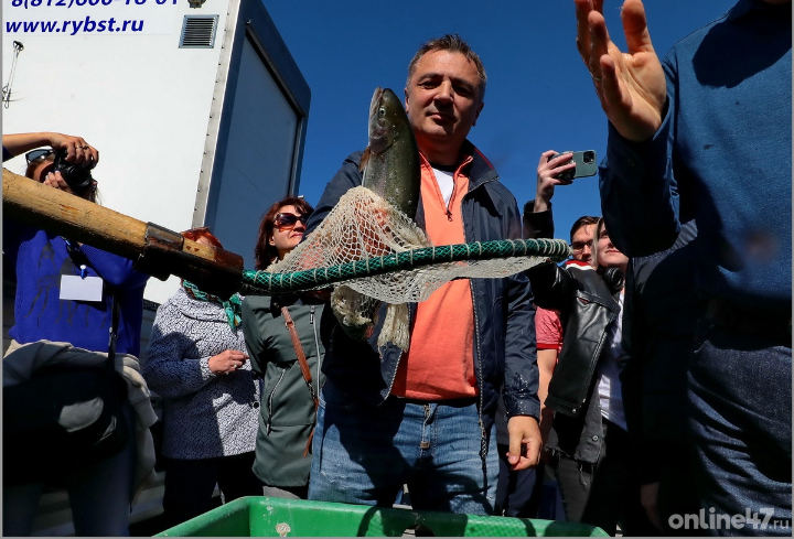Ленобласть сохранила и увеличила производство рыбы в 2022 году