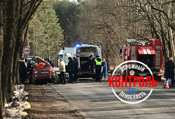 Спасатели деблокировали пострадавших в ДТП в Сланцах
