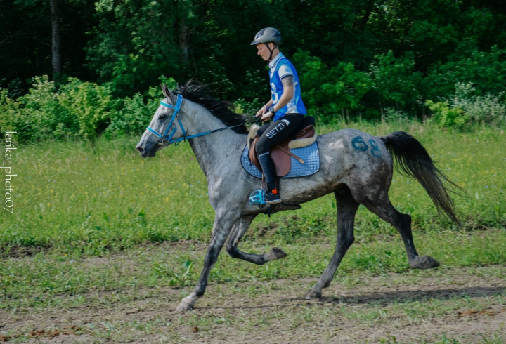 Спортсменка из Петербурга вошла в ТОП-5 Кубка России по конным пробегам