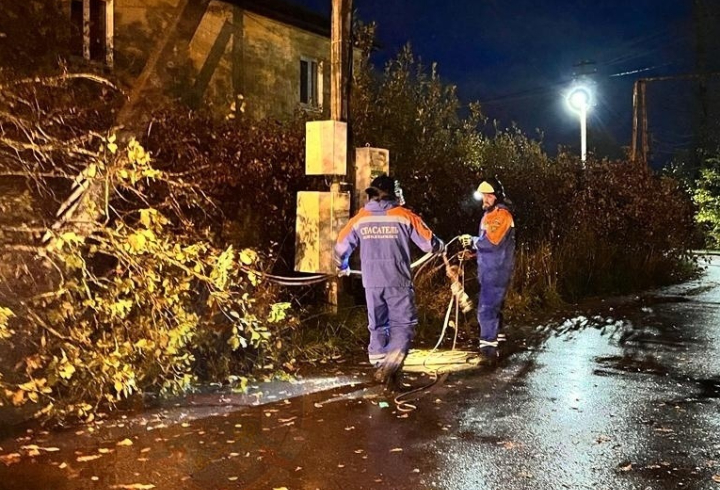 Тосненские спасатели убрали дерево, обрушившееся на жилой дом в Ульяновке