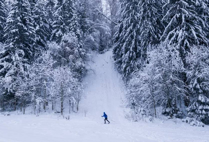 Губернатор Ленинградской области показал зимнюю красоту экологических маршрутов