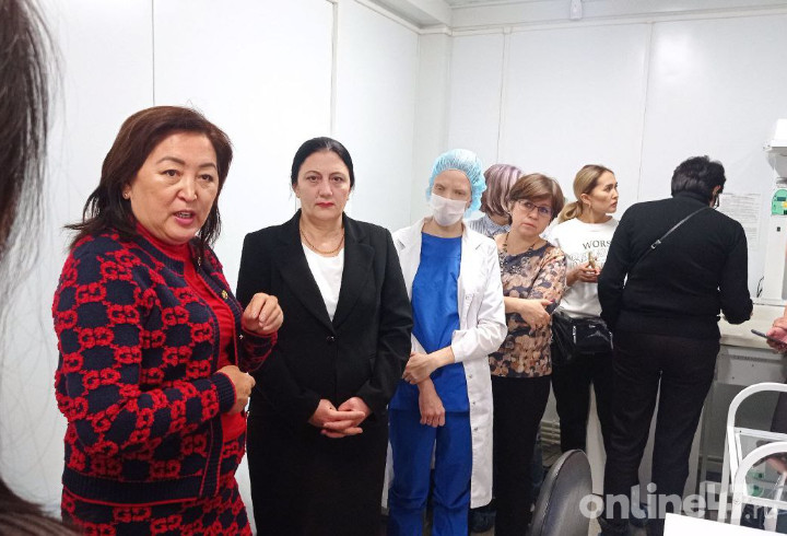 Делегация врачей из Казахстана приехала познакомиться с опытом коллег из Ленобласти