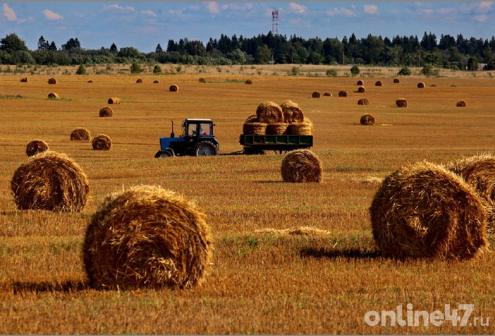 Правительство РФ направит в 2024 году около 8 млрд рублей на поддержку фермерских хозяйств