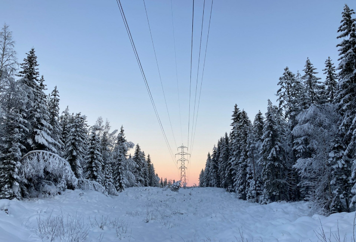 Опубликован график отключения электроэнергии в Ленобласти с 12 по 18 февраля