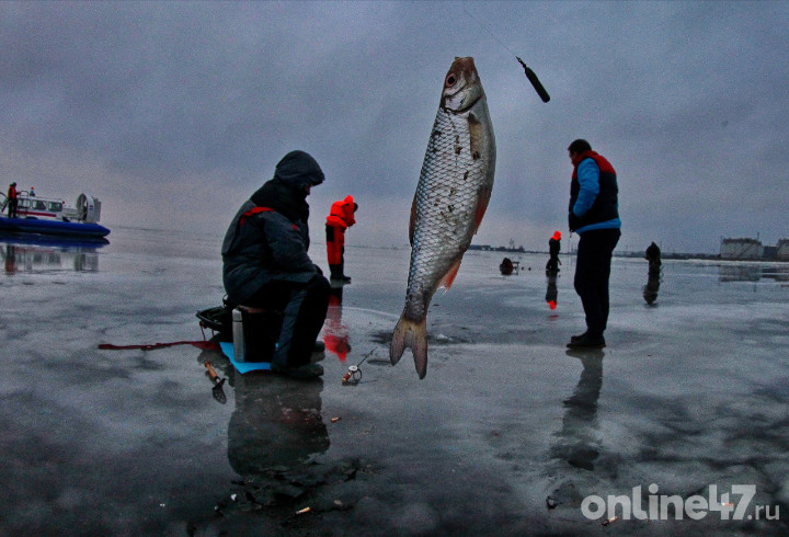 Спасатели Ленобласти проверили ледовую обстановку на Ладожском озере