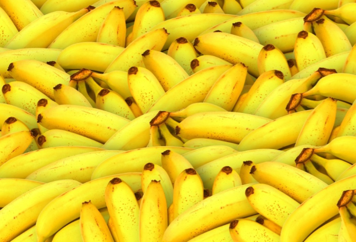 Кокаин из Бельгии на 165 млн рублей обнаружили среди бананов в порту Петербурга