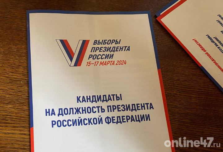 Жители Ленобласти смогут на дому проголосовать на выборах президента РФ
