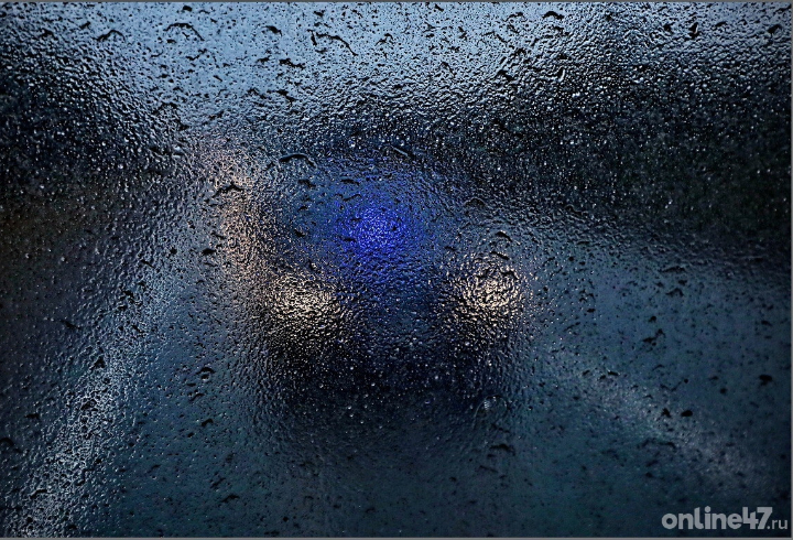 Туман и дождь: о погоде в Ленобласти на пятницу