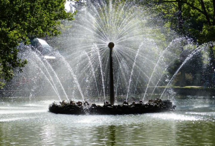 До конца 2024 года в Петербурге восстановят 21 городской фонтан