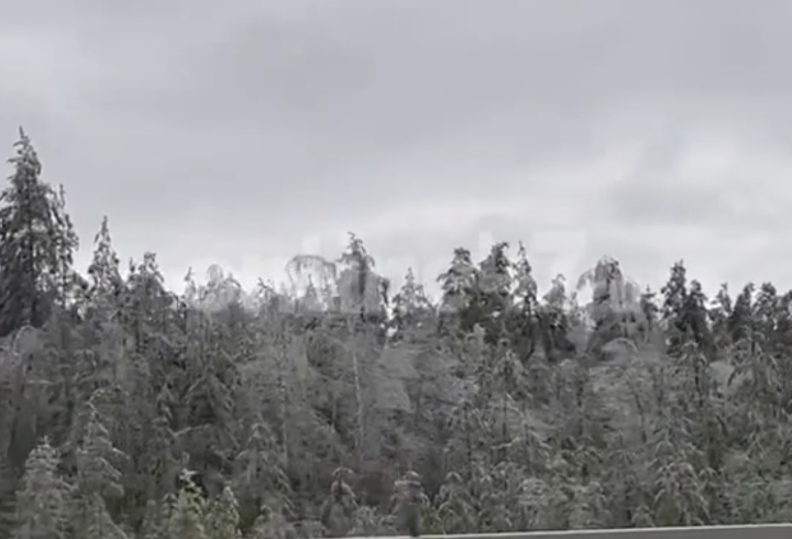Видео: ледяной дождь обрушился на Ленинградскую область