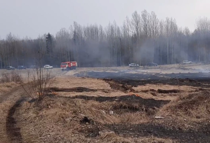 Сотрудники МЧС Ленобласти отработали действия при обнаружении пожара в лесу