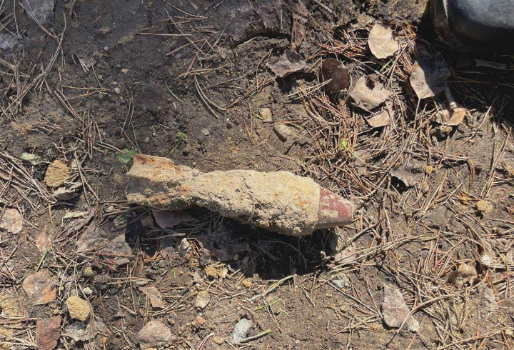 Взрывотехники уничтожили боеприпасы времен ВОВ, найденные в Ленобласти