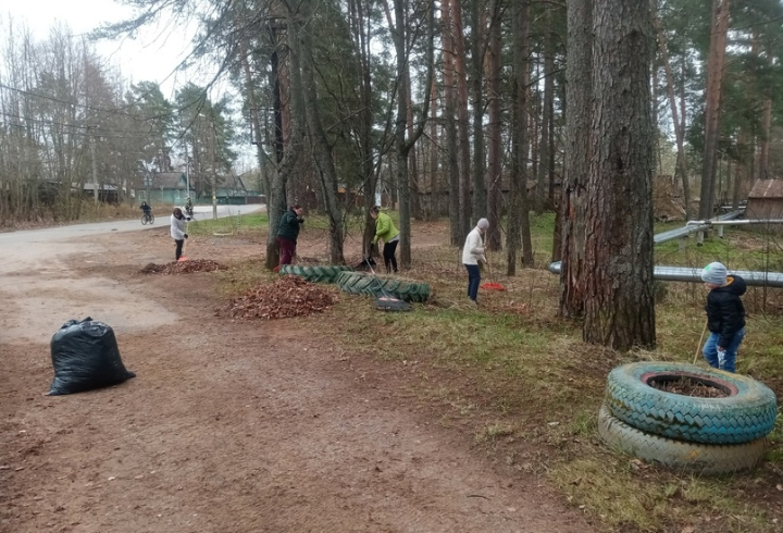 В Киришах сотрудники детсада присоединились к экологическому субботнику «Зеленая Весна»