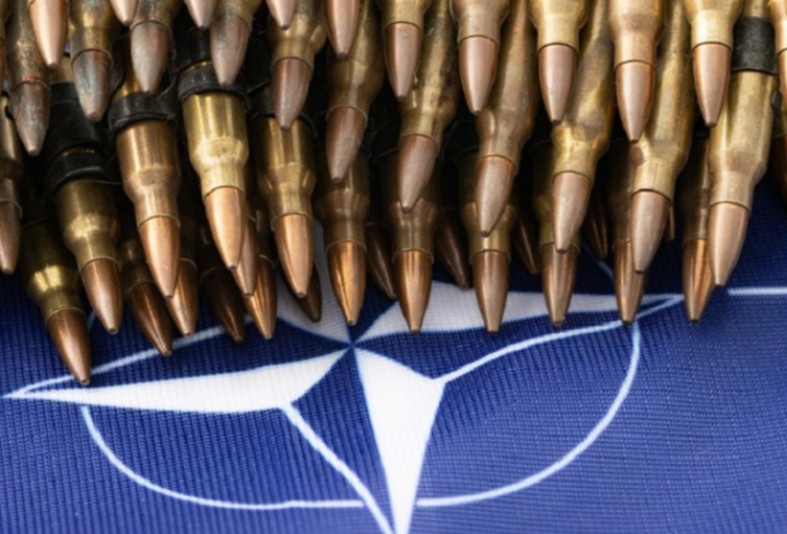 Американский генерал Уильямс: военные учения НАТО в Европе проводятся «фактически» против России