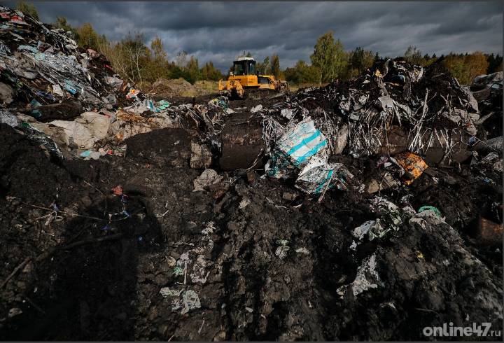 Рекультивация мусорного полигона в Светогорске завершится к концу года