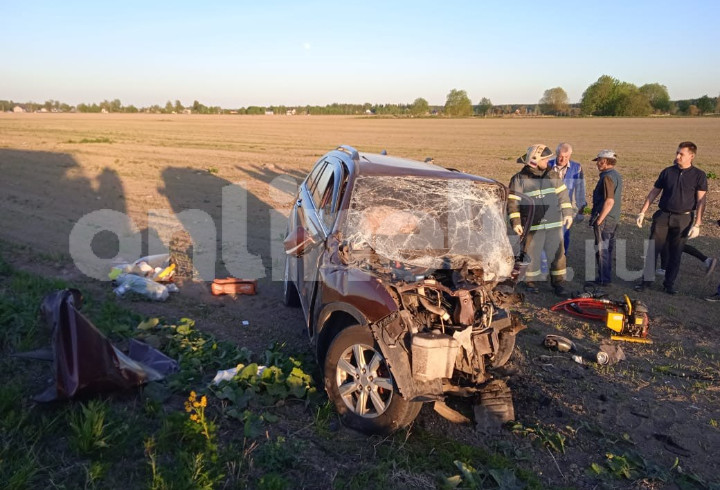 Водитель легковушки погиб при лобовом столкновении в Волосовском районе