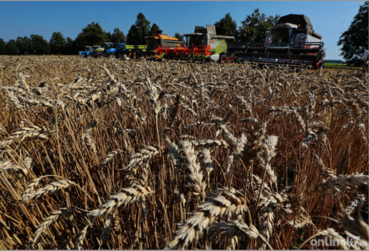 Евросоюз в марте нарастил импорт российского зерна на треть