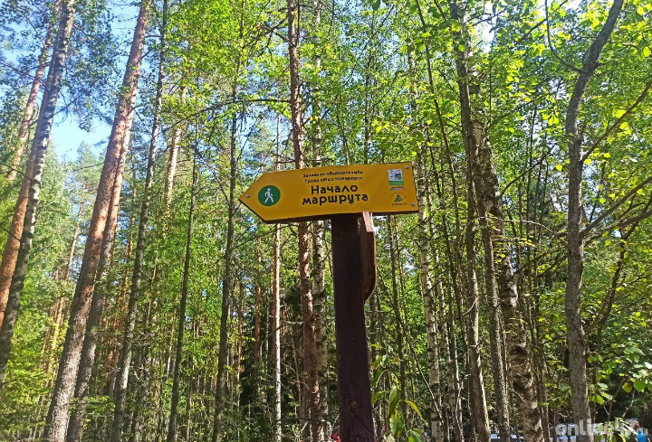 Экотропа в Ленобласти вошла в ТОП-10 живописных маршрутов России
