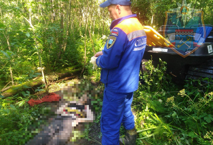 Спасатели нашли в лесу под Приозерском тело пропавшей неделю назад женщины