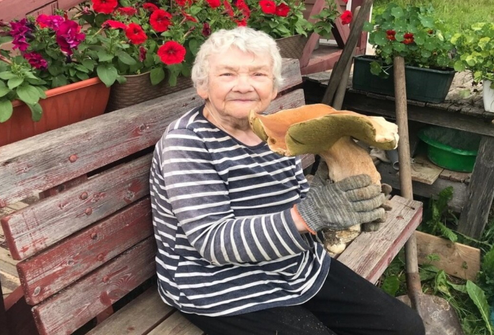 Блокадница нашла у себя на участке в Вырицком поселении огромный гриб