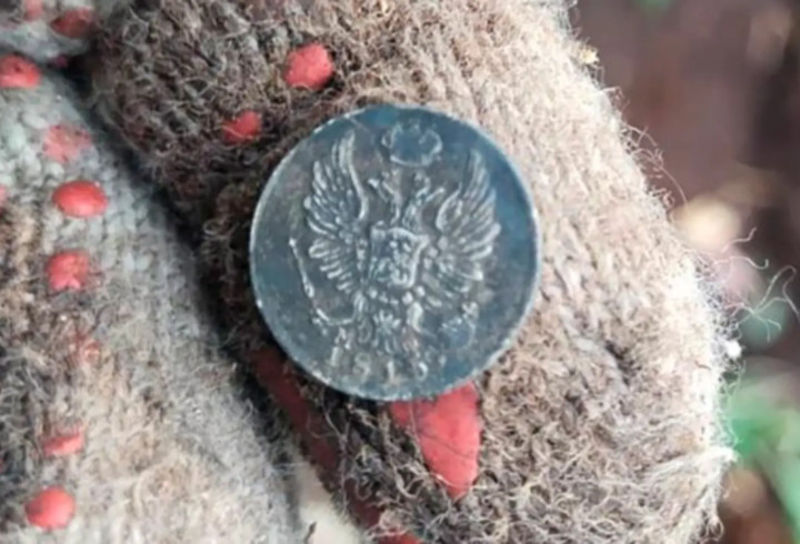 В Петербурге рабочие нашли двухсотлетнюю серебряную монету в корнях старого дерева