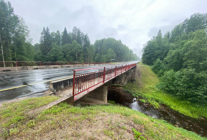 В октябре мосты через Янегу и Шакшозерку в Ленобласти закроют на капремонт
