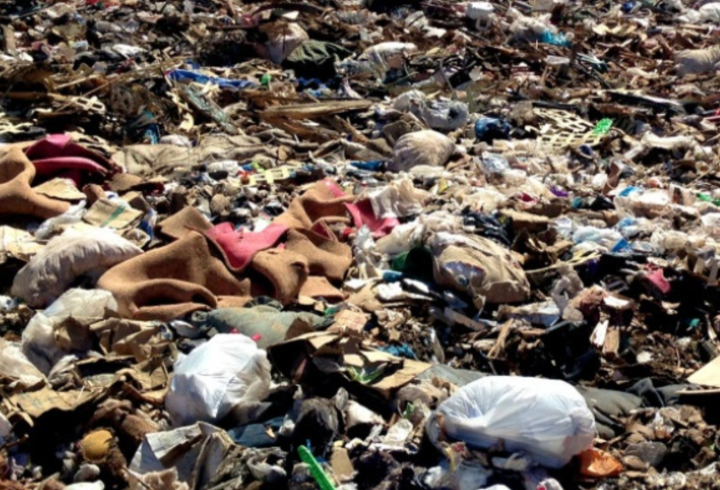 В Тосно после вмешательства прокуратуры ликвидировали свалку бытовых отходов