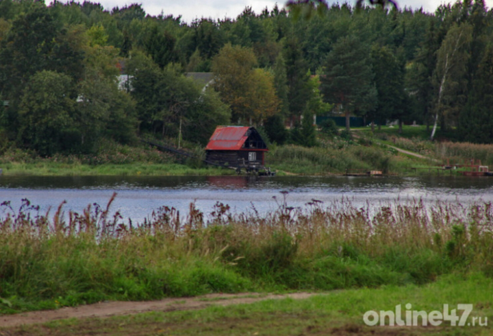 С начала года в Ленинградской области утонули почти 50 человек