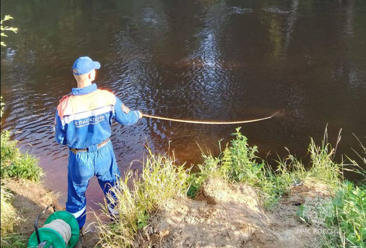 В Подпорожье на реке Свирь утонул мужчина