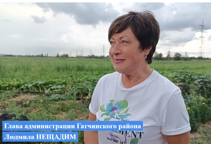 Глава администрации Гатчинского округа Людмила Нещадим проинспектировала ход работ на социальных объектах