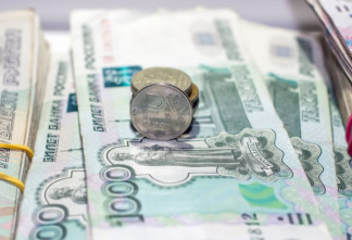 Во Всеволожске предприниматели украли полмиллиона рублей, выделенные в рамках соцконтрактов