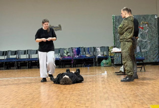 Жителей Петербурга и Ленобласти обучили приемам первой помощи через приложение  «Радар.НФ»