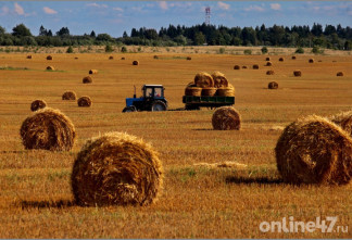 Отдых начинается с деревни: почему Минсельхоз выбрал Ленобласть главной площадкой для развития агротуризма