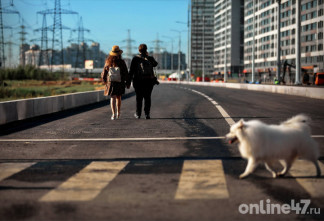 Пятилетний максимум по ипотеке и ДДУ: что разогнало рынок новостроек Ленинградской области