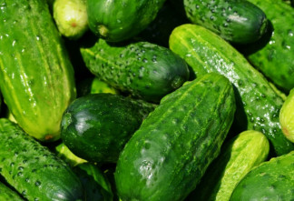 За неделю минимальные цены на огурцы в сетевых магазинах снизились на 7,5%