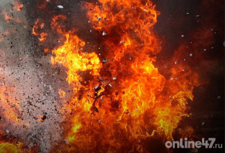 За сутки в Ленинградской области ликвидировали 12 пожаров