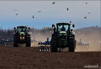 Теплый март зовет на грядки: с каких работ начать дачный сезон в Ленинградской области