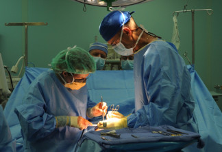 В Ленобласти расширяют возможности трансплантологии