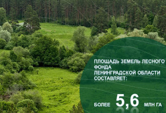 Ленинградская область готова к лесопожарному сезону 2026 года