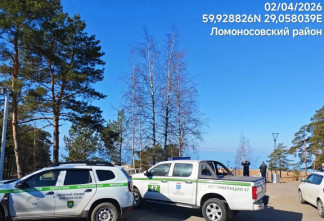 Экомилиция не подтвердила сведения о загрязнении Финского залива в Сосновом Бору