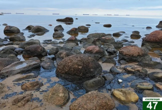 Ситуация на контроле эконадзора: локальное скопление нефтепродуктов обнаружено на берегу Финского залива около деревни Логи