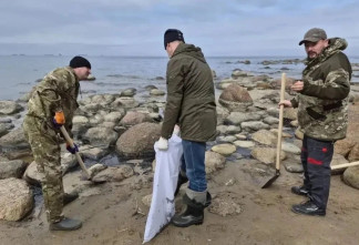 Загрязнение на берегу Финского залива в Кингисеппском районе продолжают ликвидировать