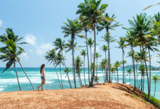 Океан, пальмы и скорый безвиз: во сколько обойдется отпуск на Шри-Ланке и что там стоит посмотреть