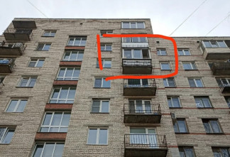 Собака разбилась насмерть после падения с седьмого этажа в Петербурге