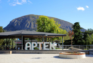 Молодежь оболванивают пропагандой: Константин Соколов о решении финских властей не пускать детей в лагерь «Артек»